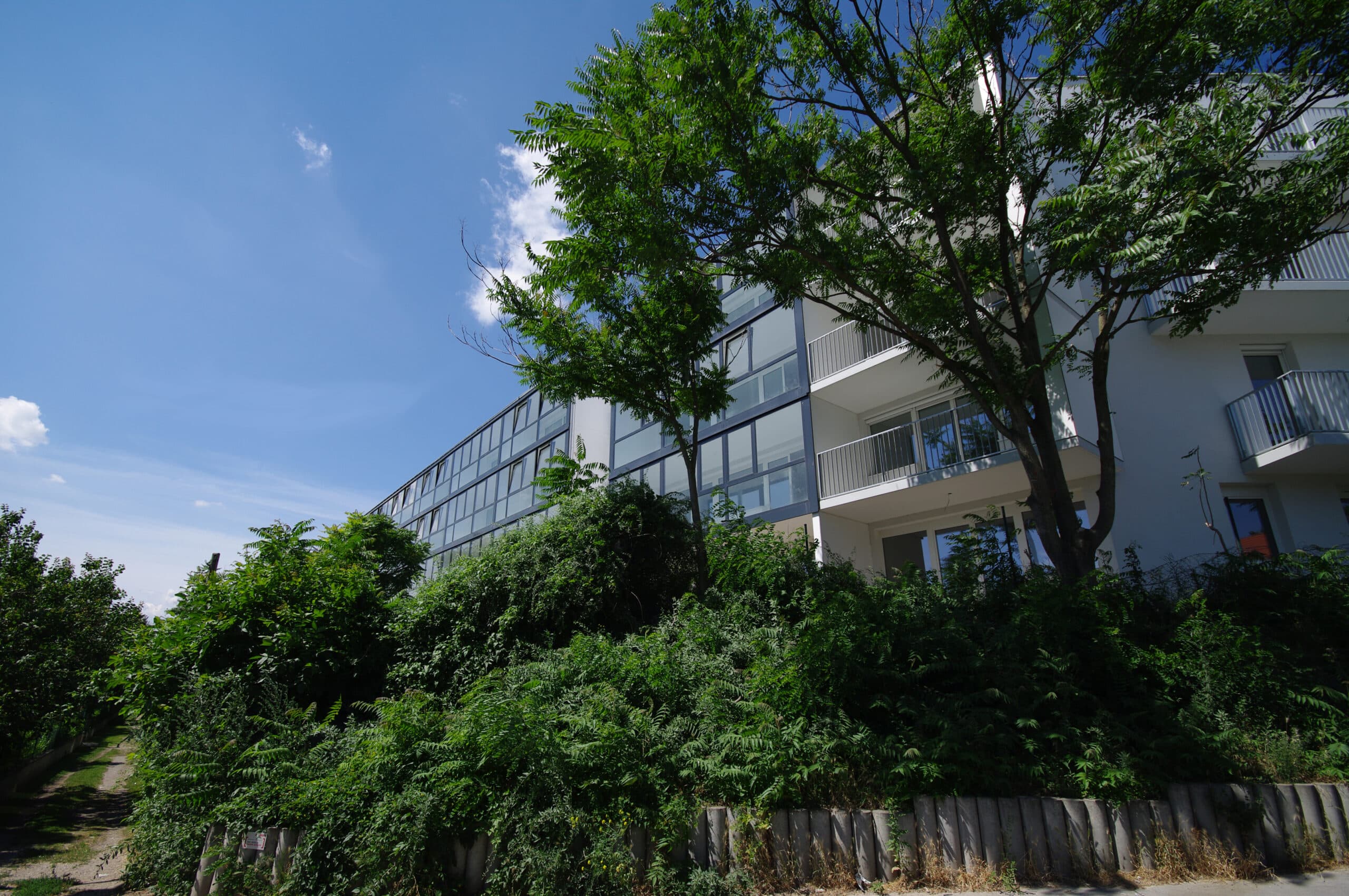 Cuubuus  - architects & developers