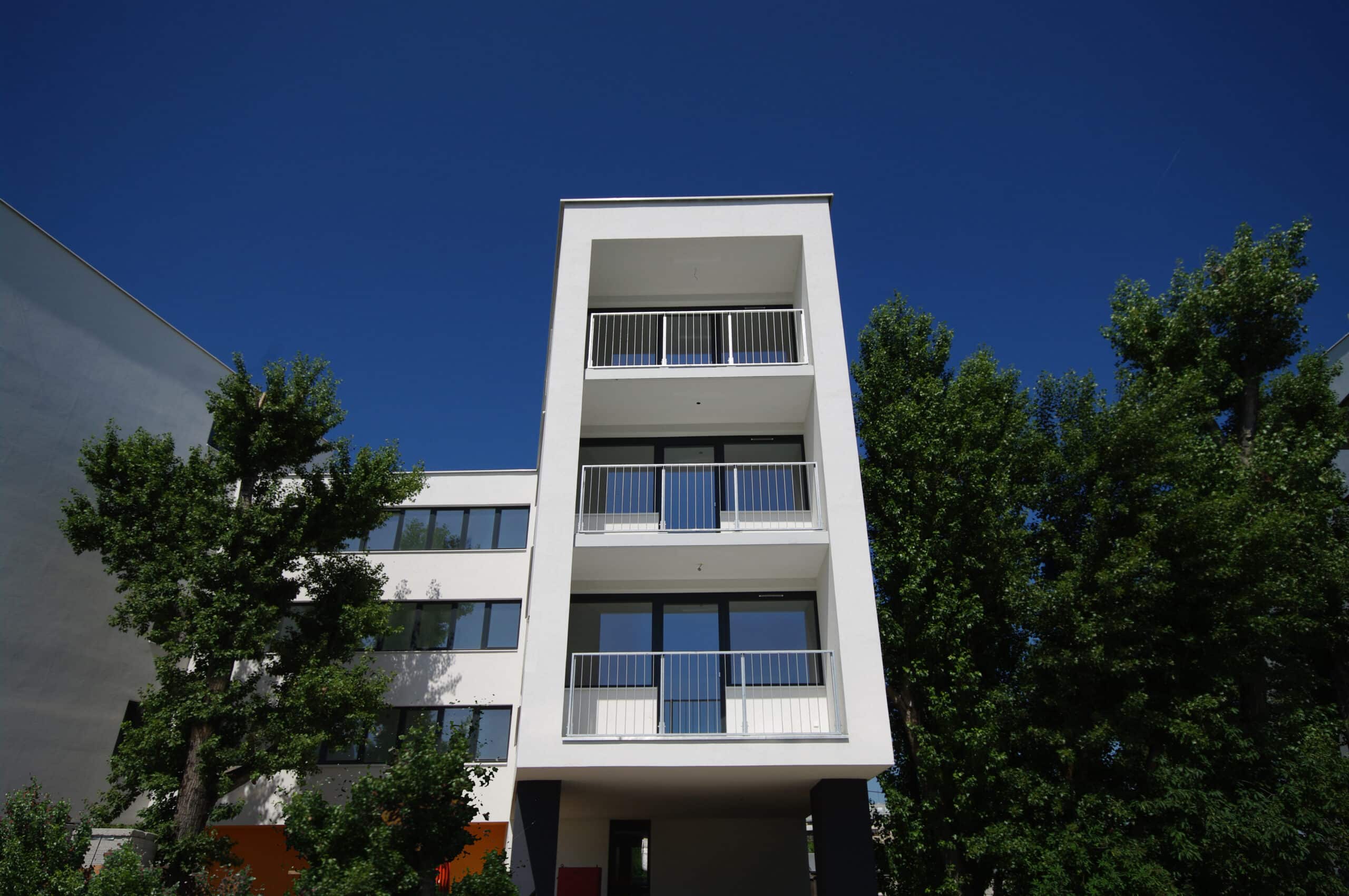 Cuubuus  - architects & developers
