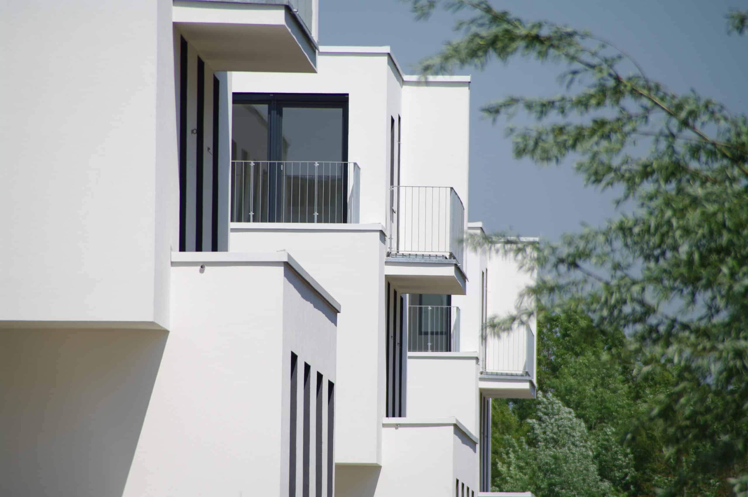 Cuubuus  - architects & developers